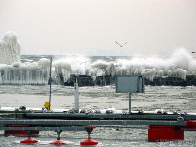 Basen Jachtowy w porcie w Gdyni - w styczniowym ataku zimy