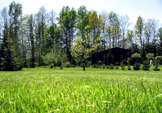 Trawnik świeżo po skoszeniu trawy kosiarką z koszem