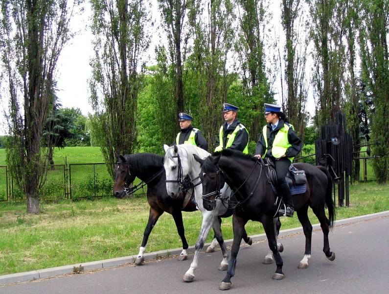 Policyjny patrol konny z komendy Wolskiej