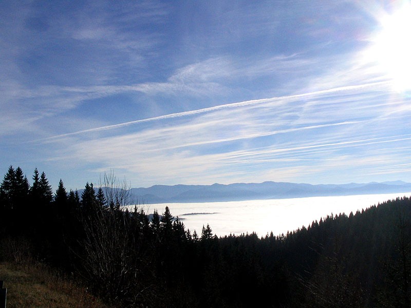 <b>Słowacja</b> - nisko - to chmury i las w chmurach