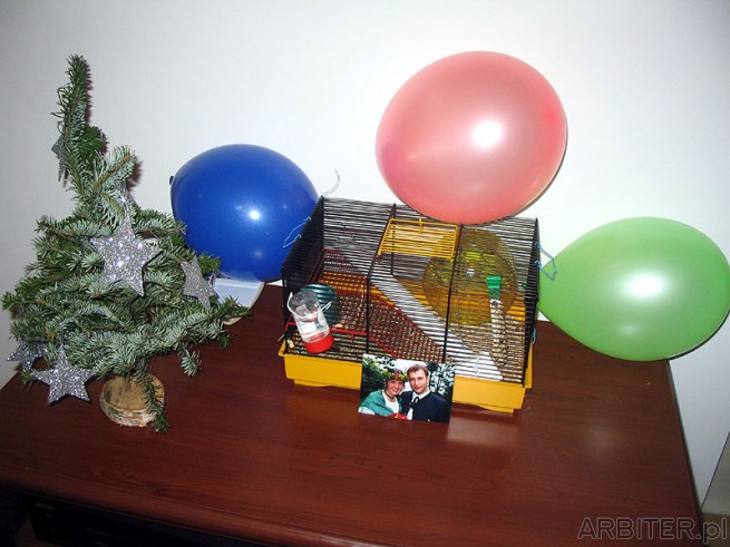 Myszka będzie spędzać nowy rok w otoczeniu balonów