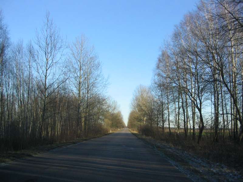 Droga do Białowieży