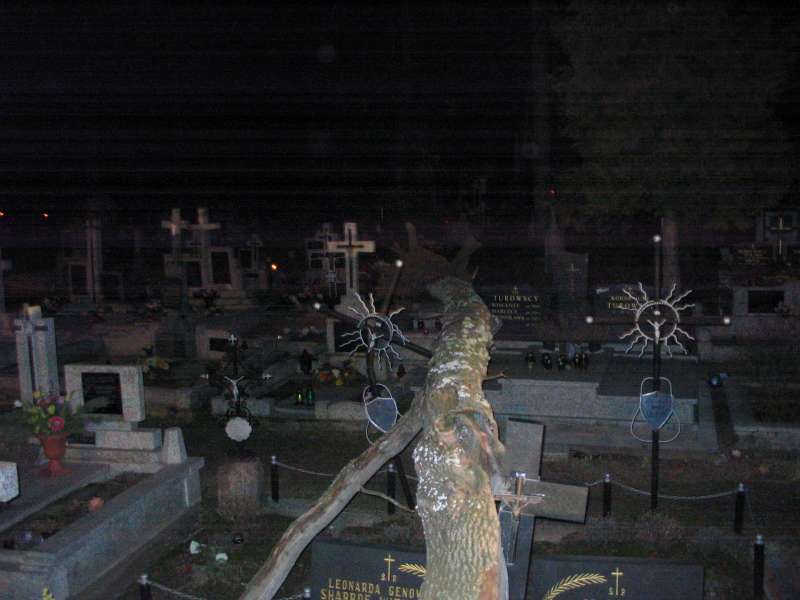 Jak zwykle przed dojazdem do dopmu zrobiłem rekonesans po okolicy. Na cementarzu ...