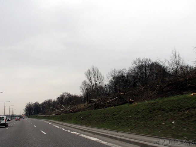 Trasa Toruńska  w kierunku Marek. Z prawej trzebież drzew na wysokości Powązek
