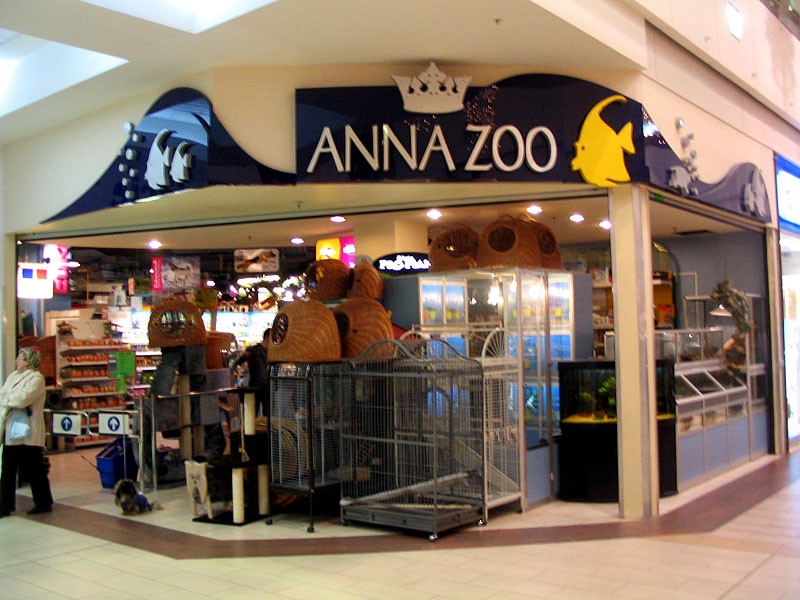 Anna ZOO - Sklep zoologiczny. Można kupić różne zwierzątka, myszki, chomiki, ...